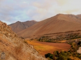 2019-25.jpg
