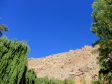 vista al cielo area comun.jpg